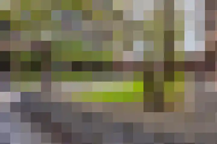 Lichtstraat 311 Eindhoven thumbnail 28