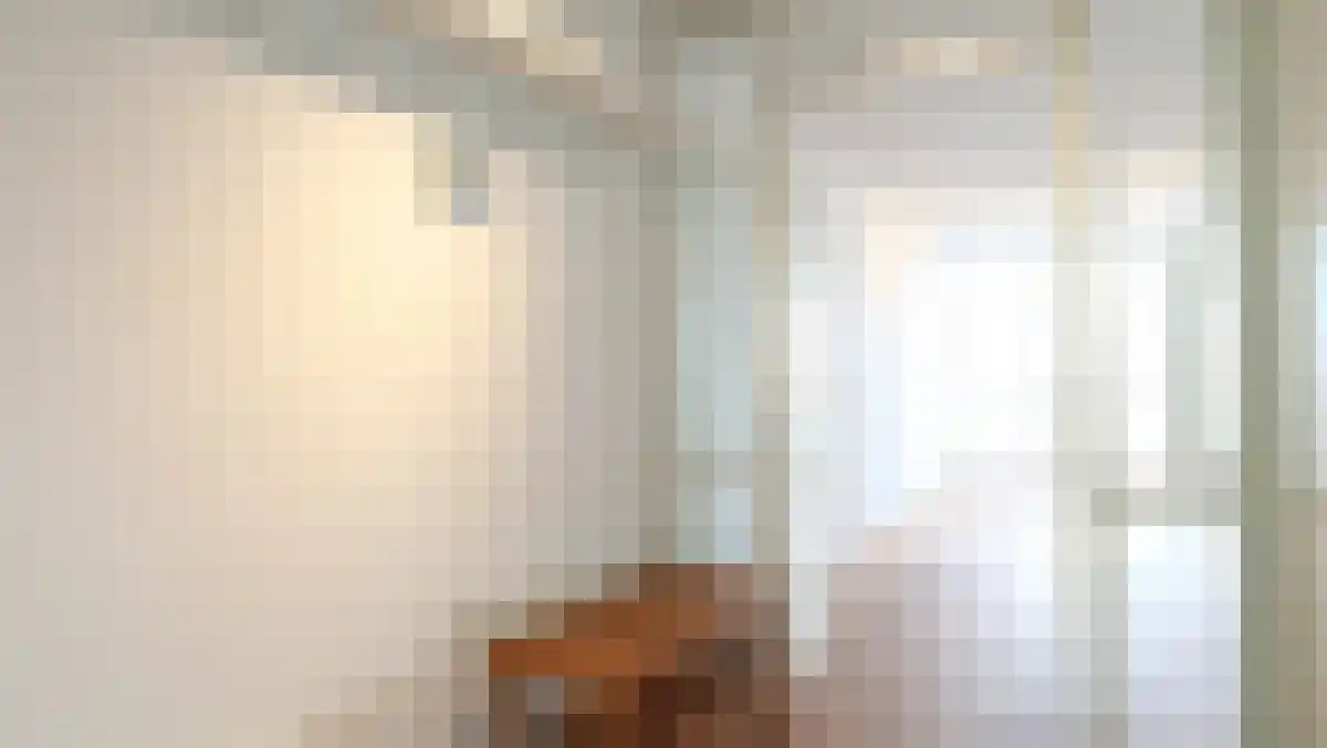 Lichtstraat 337 Eindhoven thumbnail 5