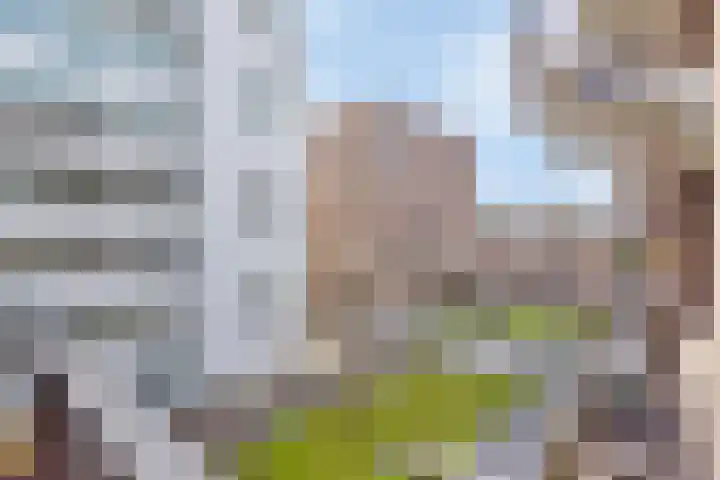 Lichtstraat 46 Eindhoven thumbnail 30