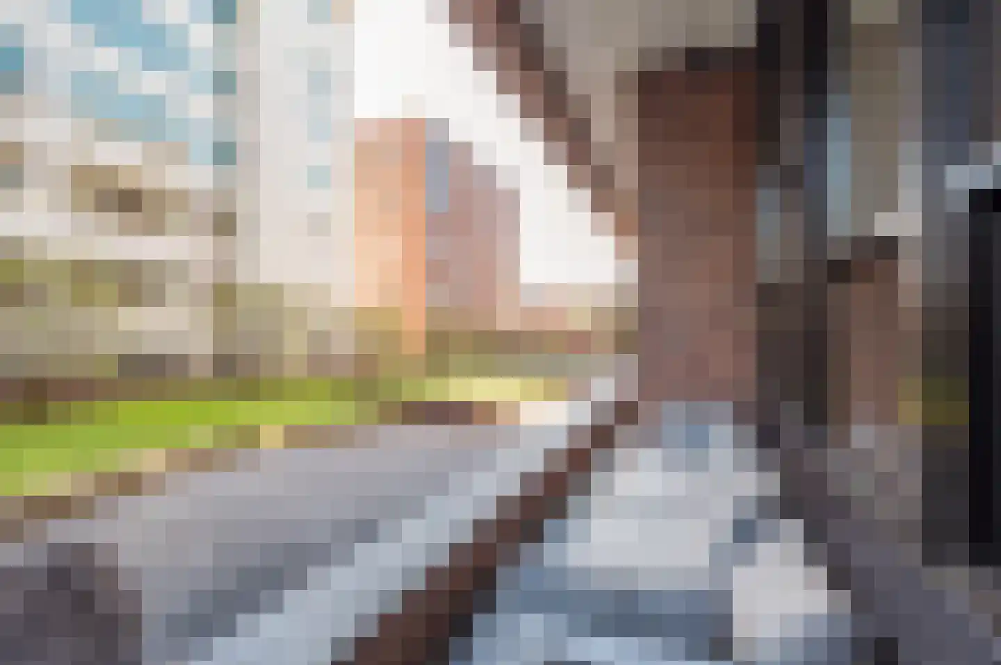 Lichtstraat 496 Eindhoven thumbnail 18