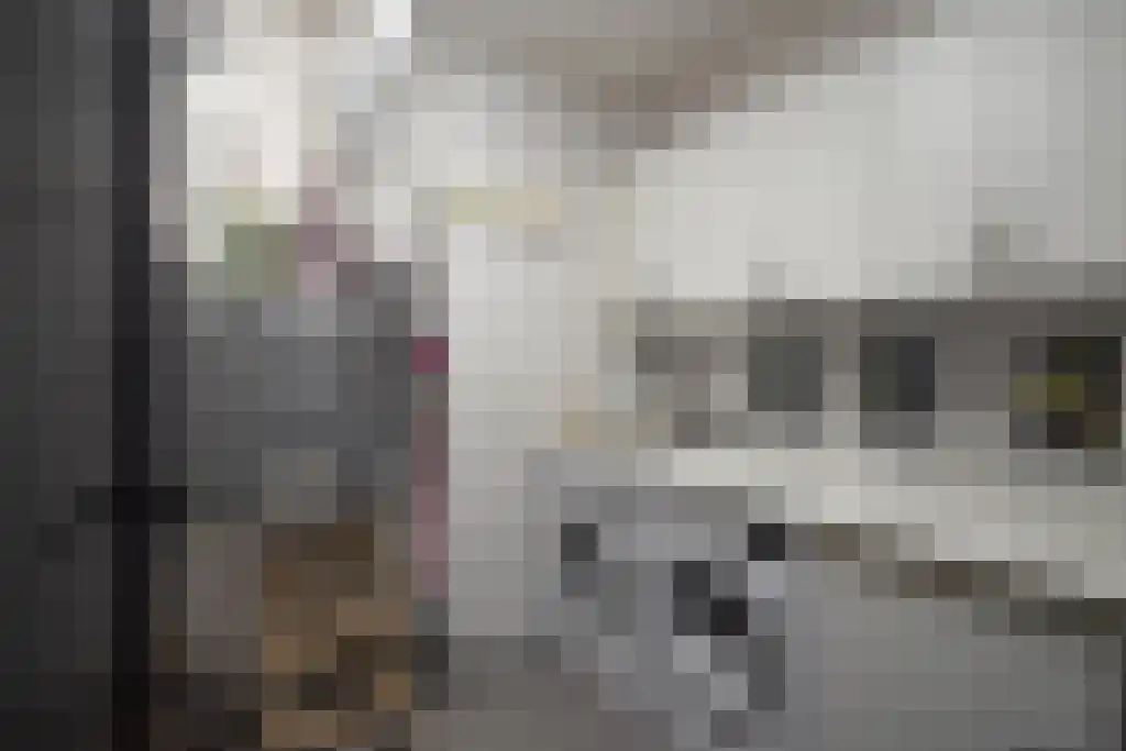 Lichtstraat 496 Eindhoven thumbnail 33
