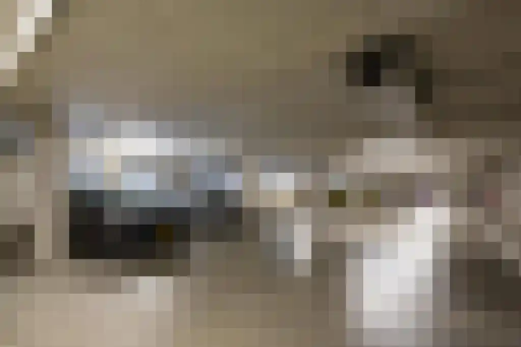 Lichtstraat 496 Eindhoven thumbnail 34