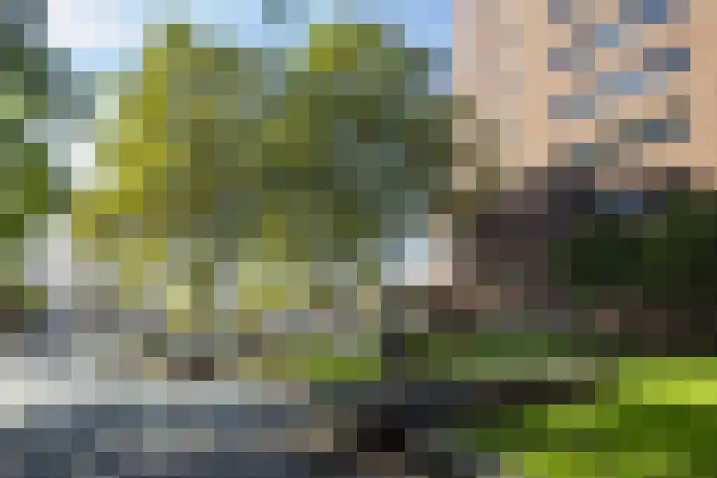 Lichtstraat 496 Eindhoven thumbnail 38