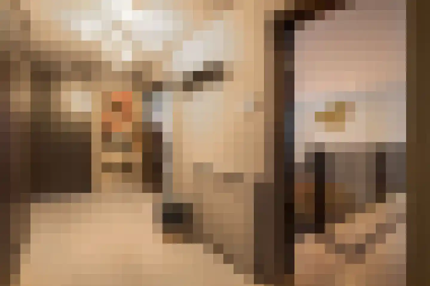 Lichtstraat 496 Eindhoven thumbnail 9