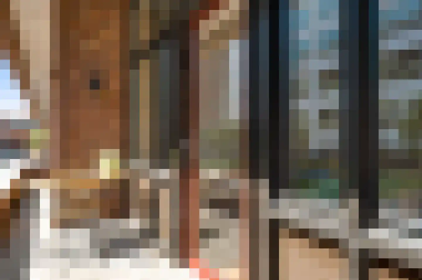 Lichtstraat 498 Eindhoven thumbnail 19