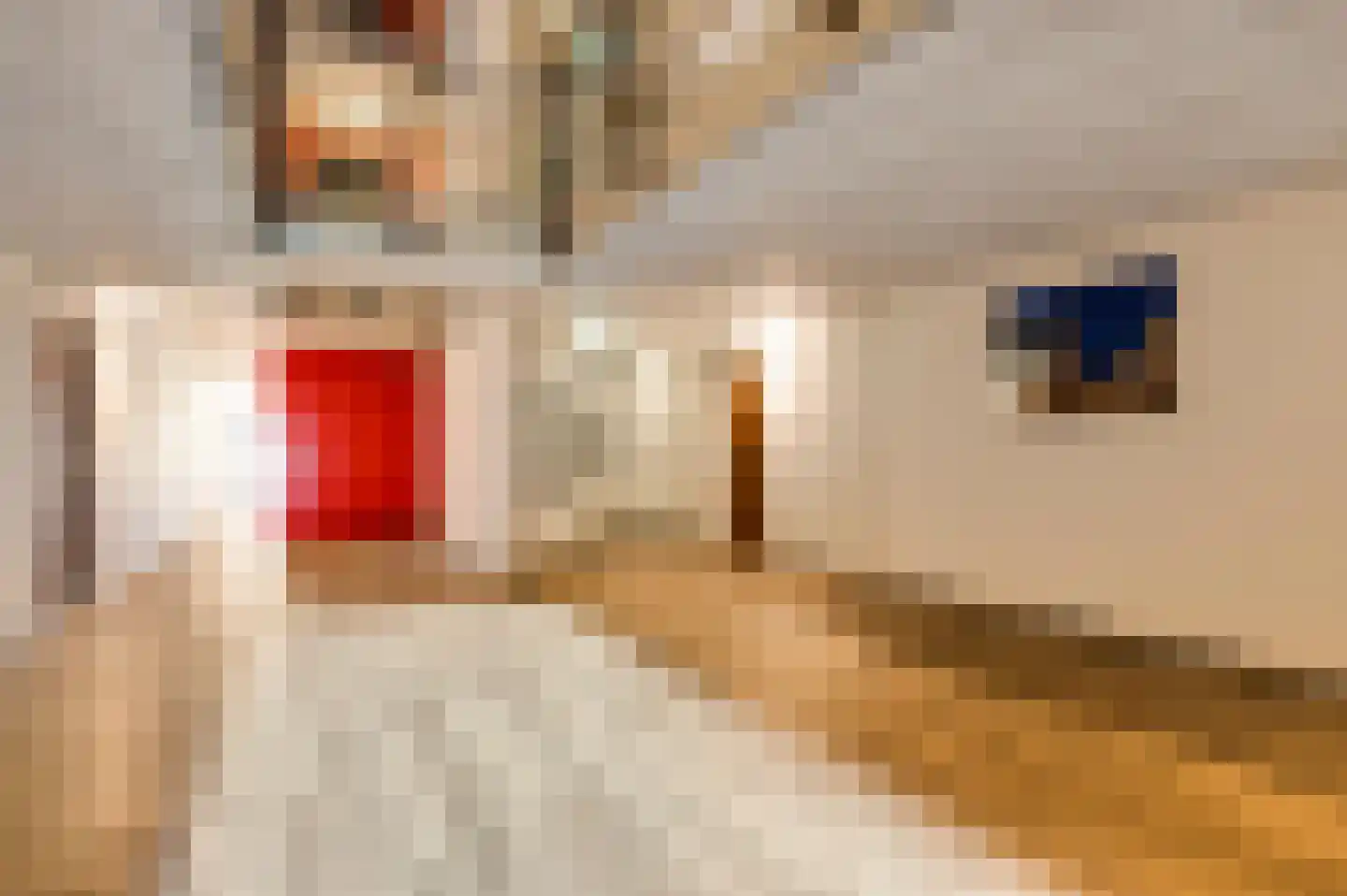 Lichtstraat 498 Eindhoven thumbnail 9