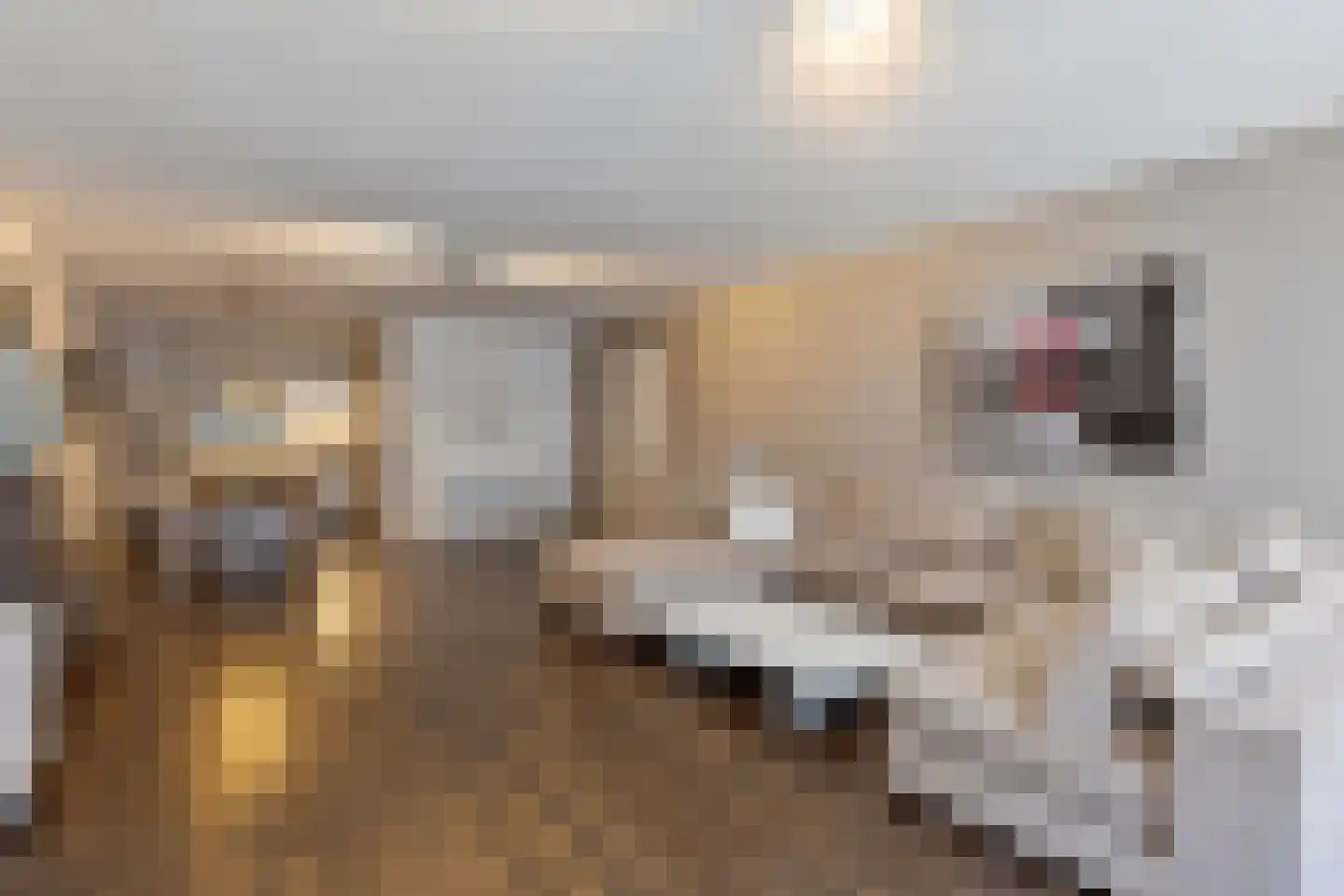 Lichtstraat 520 Eindhoven thumbnail 12