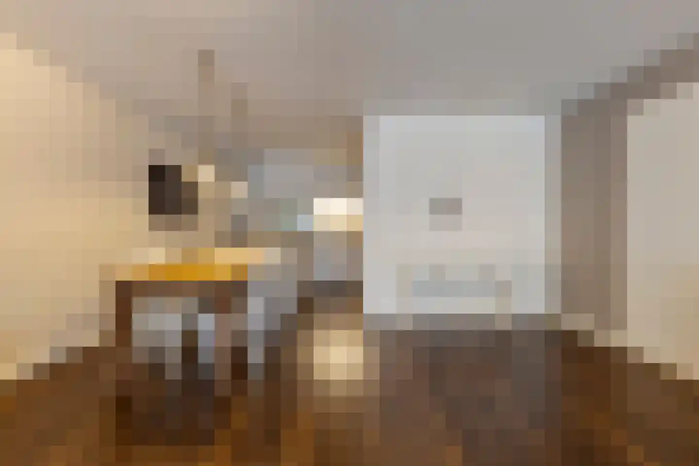Lichtstraat 520 Eindhoven thumbnail 13