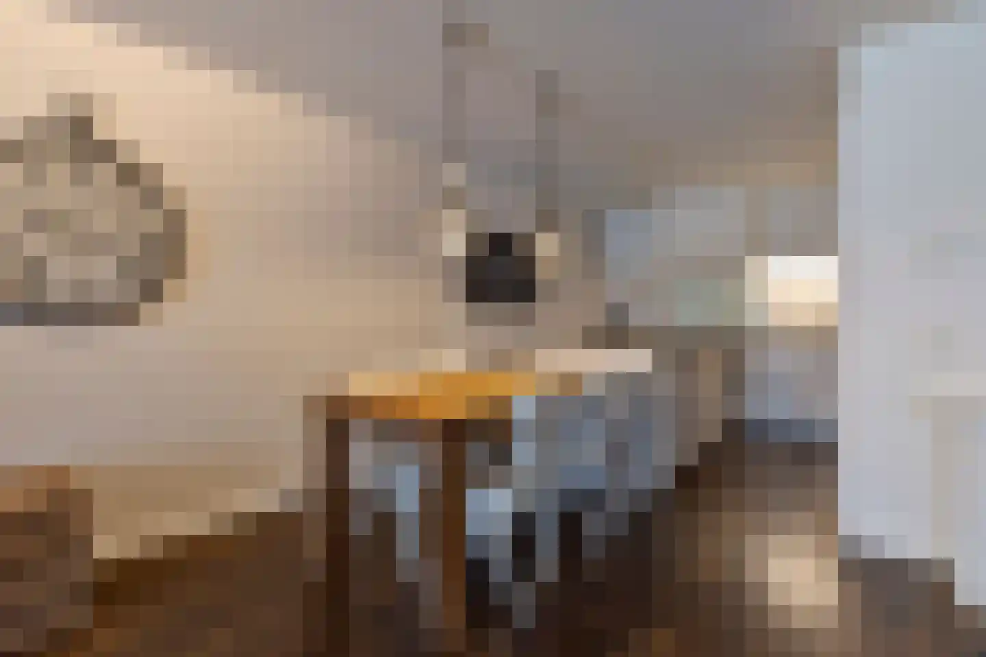 Lichtstraat 520 Eindhoven thumbnail 14