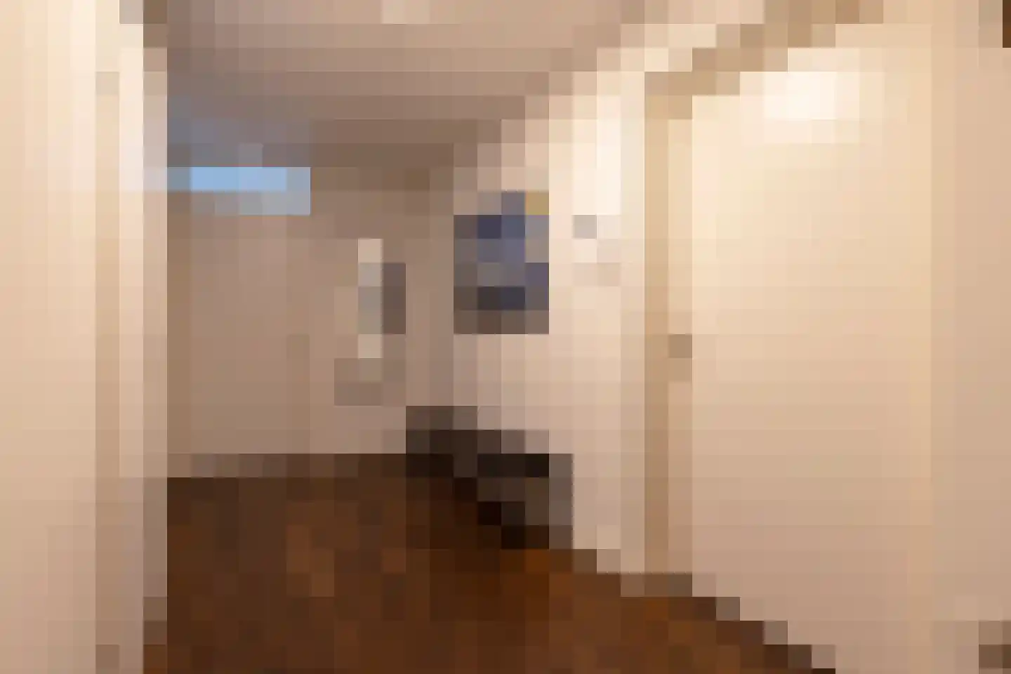 Lichtstraat 520 Eindhoven thumbnail 8