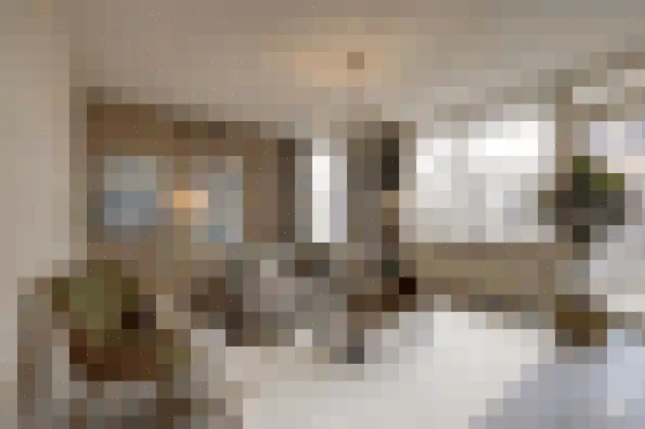Lichtstraat 562 Eindhoven thumbnail 13