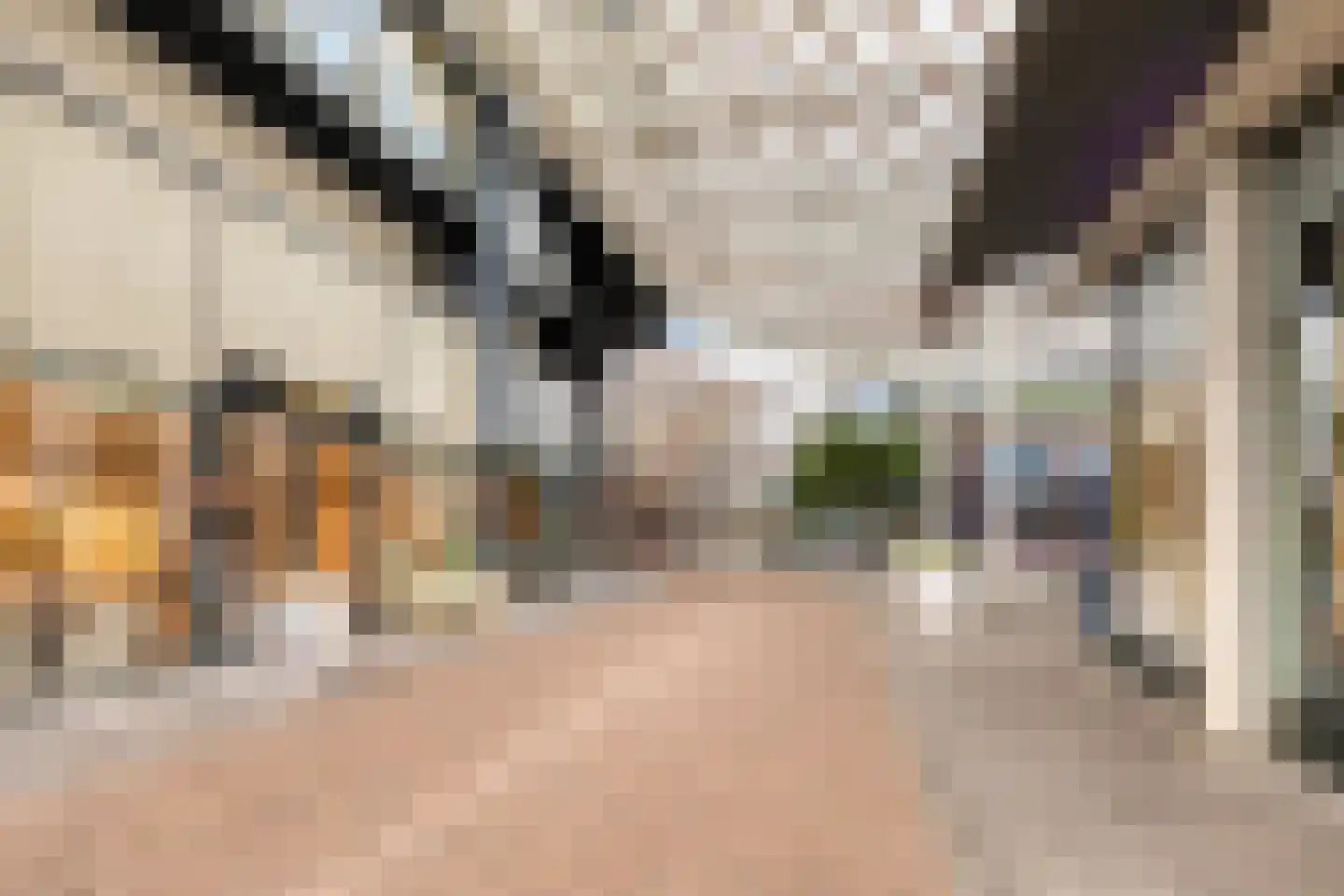 Lichtstraat 562 Eindhoven thumbnail 33
