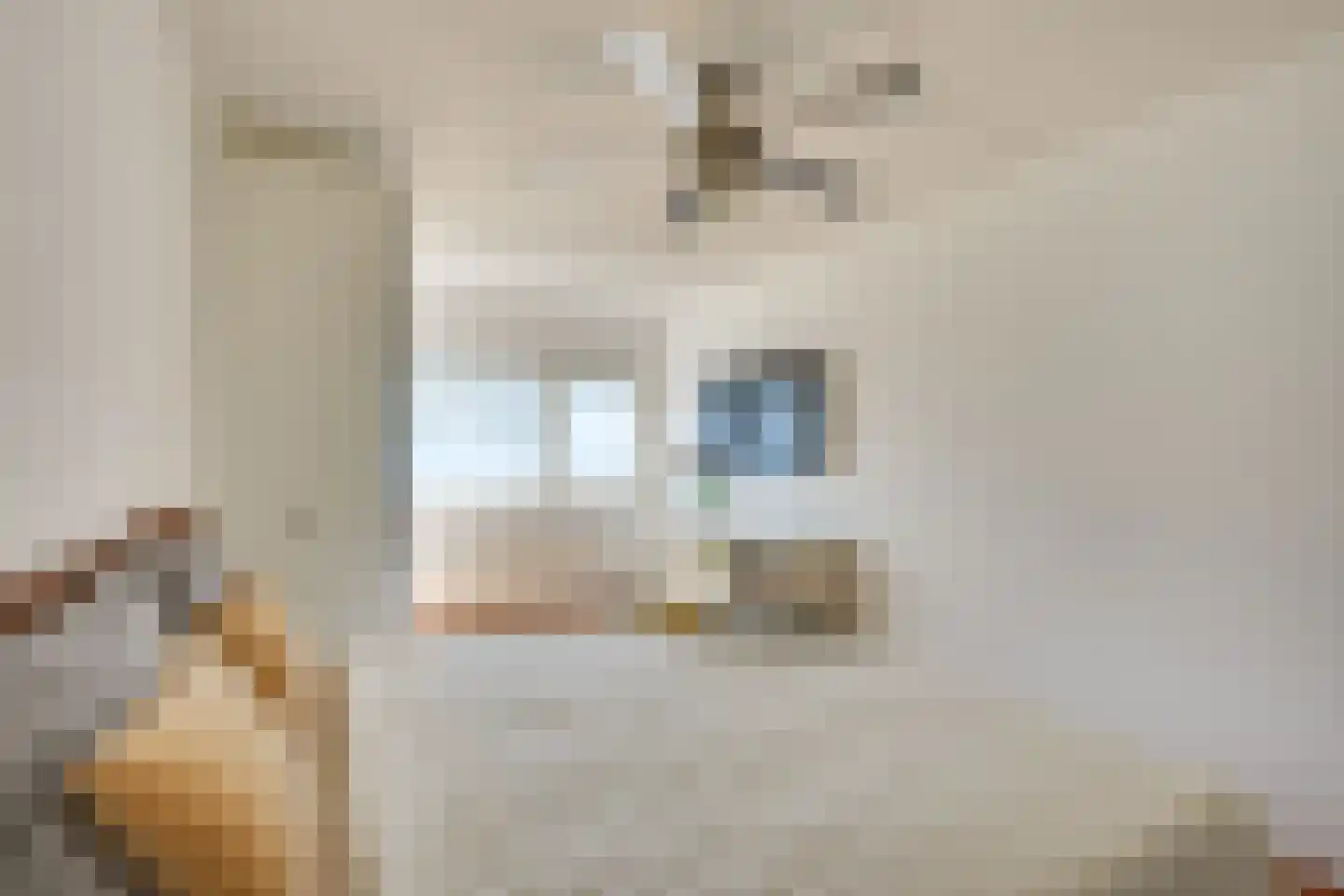 Lichtstraat 578 Eindhoven thumbnail 23