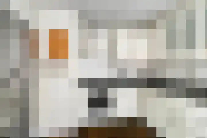 Lichtstraat 64 Eindhoven thumbnail 18