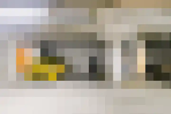 Lichtstraat 64 Eindhoven thumbnail 30