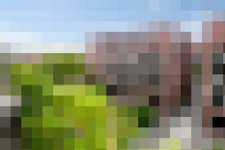 Lichtstraat 64 Eindhoven thumbnail 32