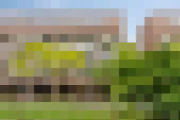 Lichtstraat 64 Eindhoven thumbnail 33