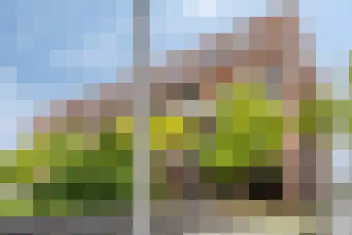 Lichtstraat 64 Eindhoven thumbnail 36