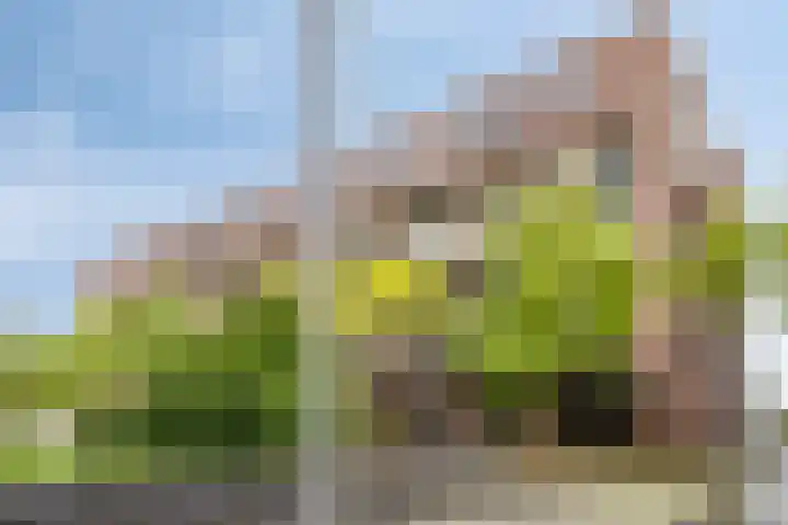 Lichtstraat 64 Eindhoven thumbnail 39