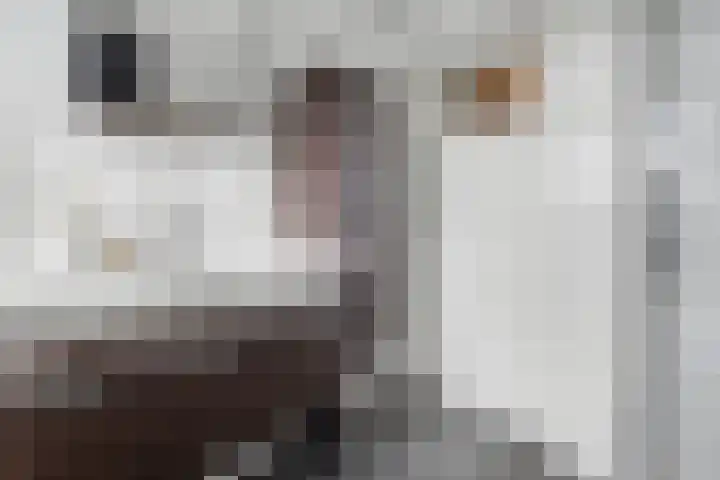 Lichttoren 334 Eindhoven thumbnail 50