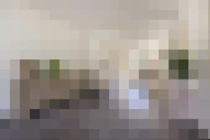 Lichttorenhoofd 35 Etten-Leur thumbnail 11