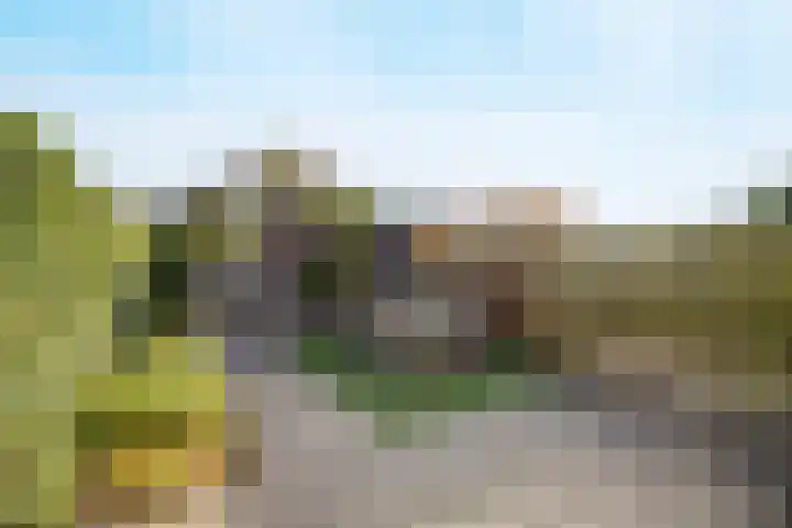 Lichttorenhoofd 35 Etten-Leur thumbnail 4