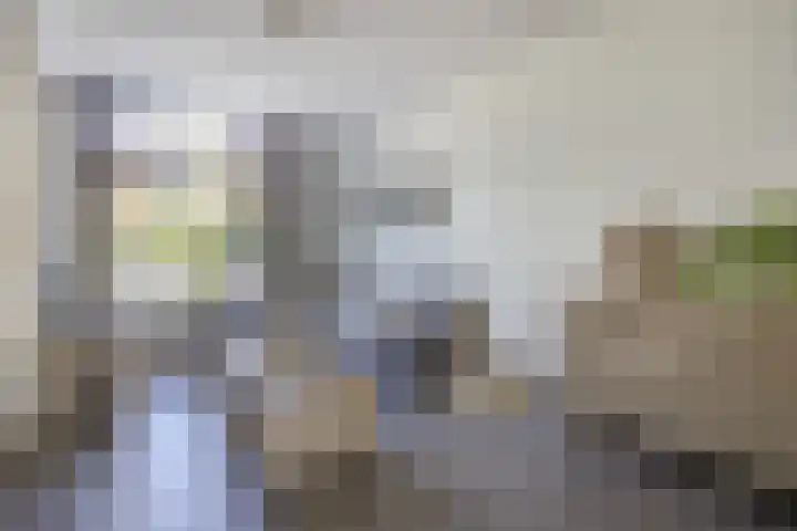 Lichttorenhoofd 35 Etten-Leur thumbnail 7
