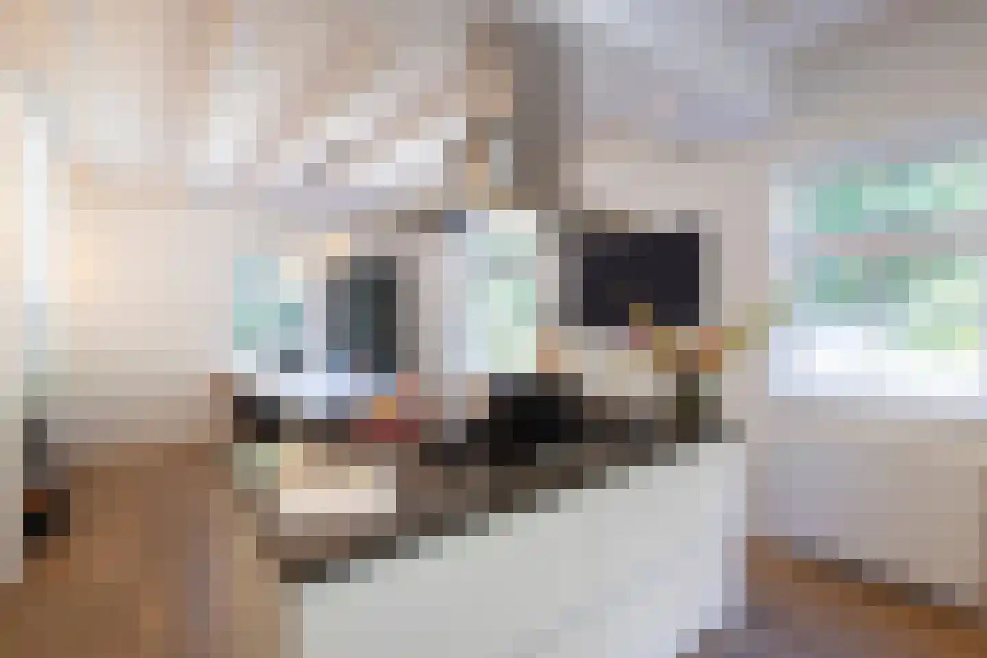 Lichttorenweg 12 Epe thumbnail 13