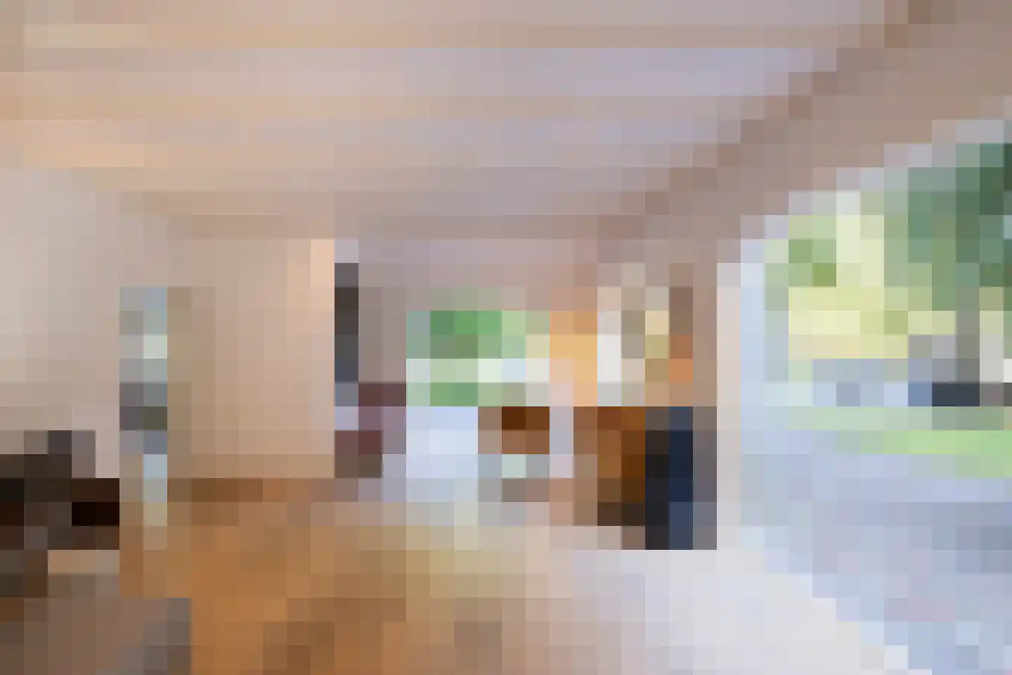 Lichttorenweg 12 Epe thumbnail 24