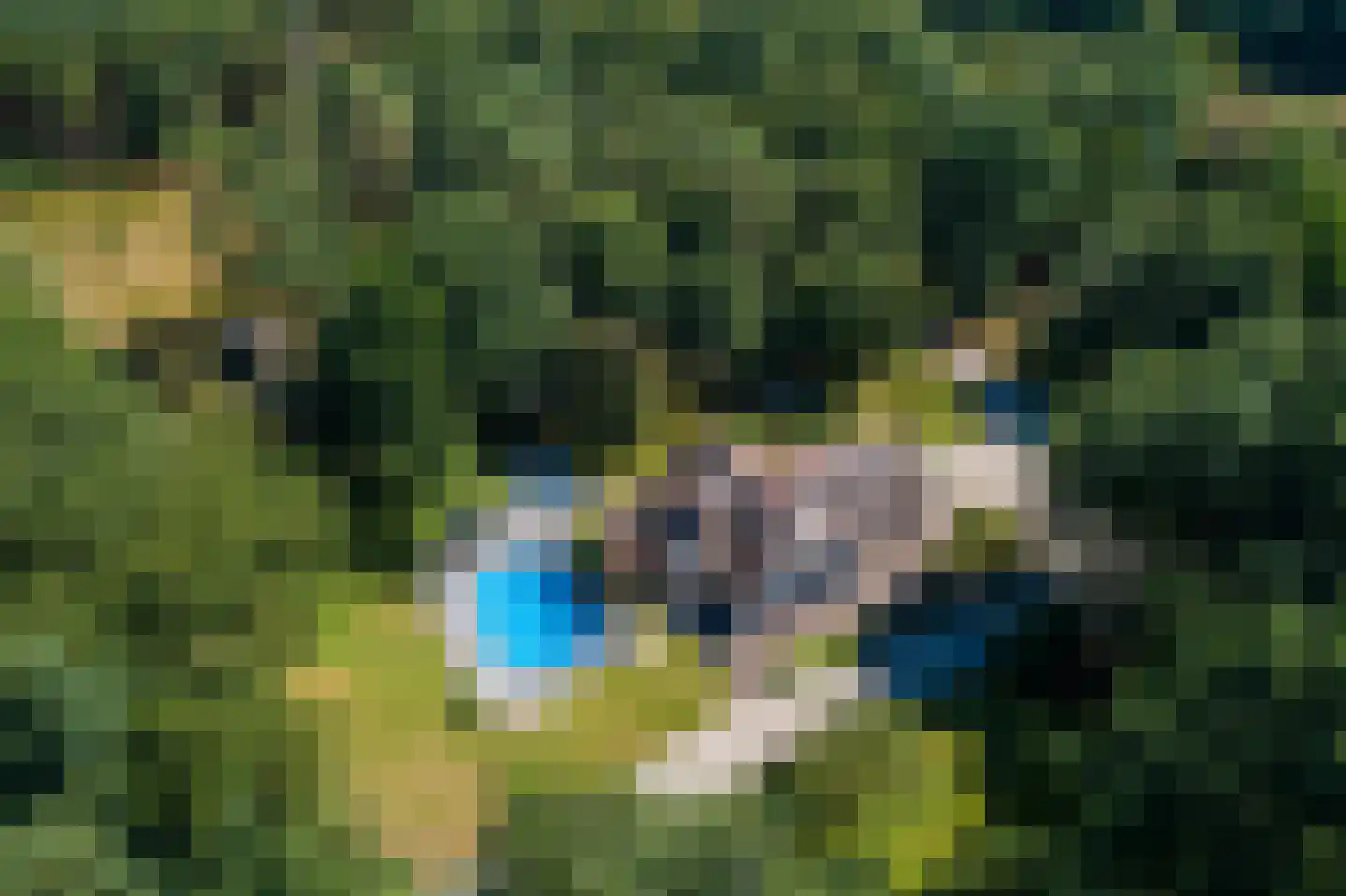 Lichttorenweg 12 Epe thumbnail 45