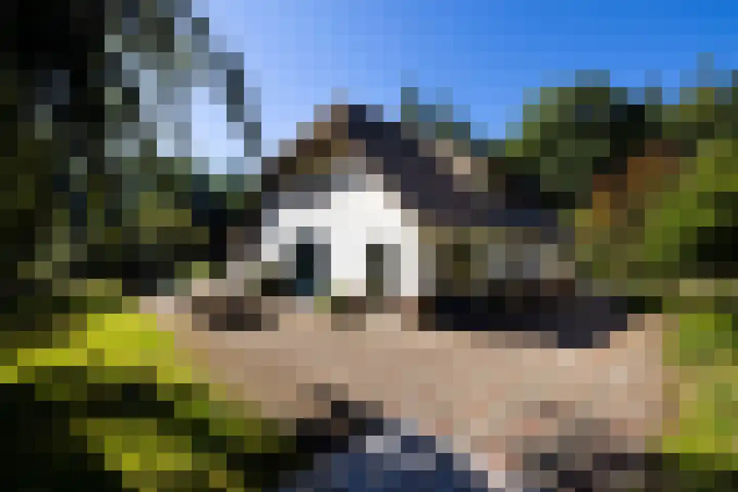 Lichttorenweg 12 Epe thumbnail 48