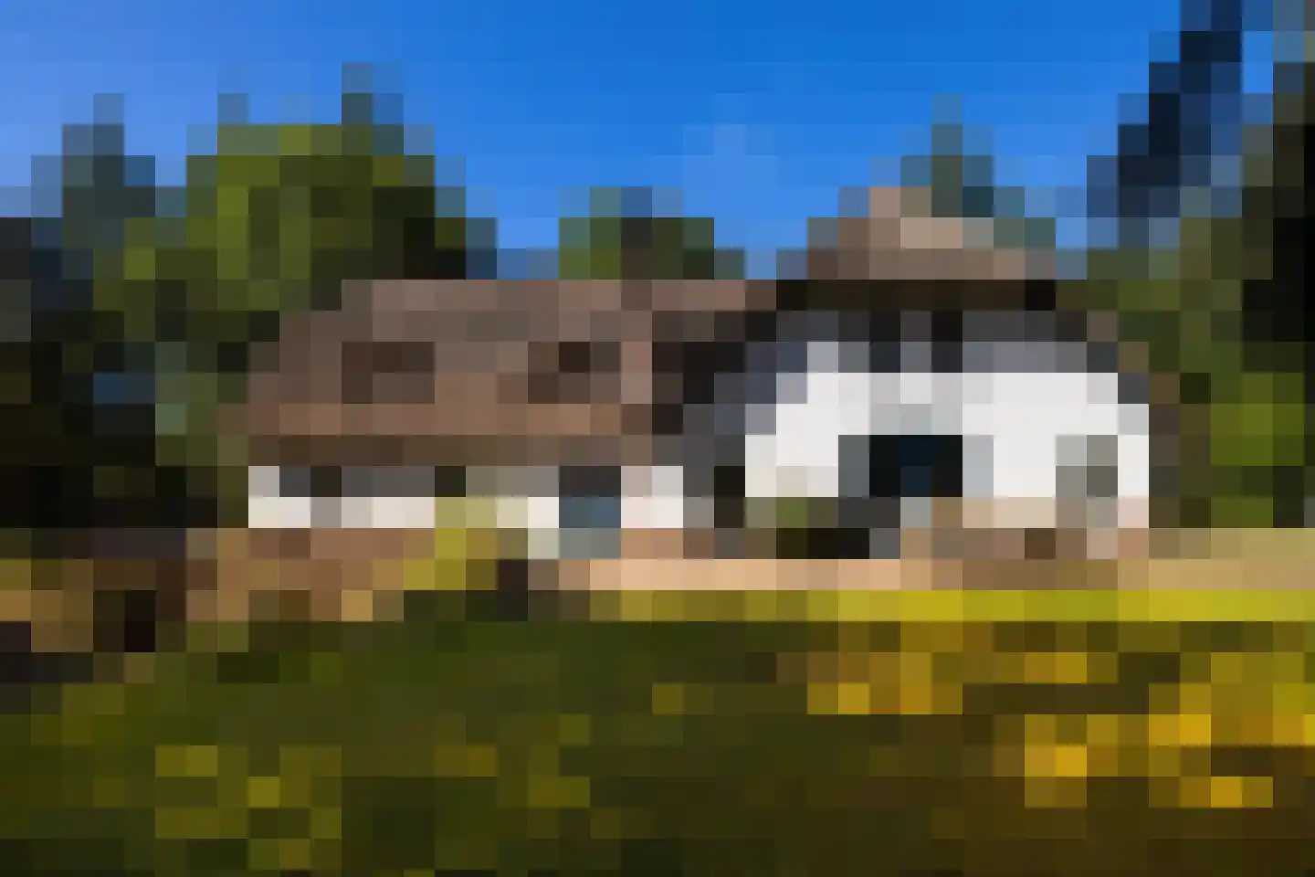 Lichttorenweg 12 Epe thumbnail 49