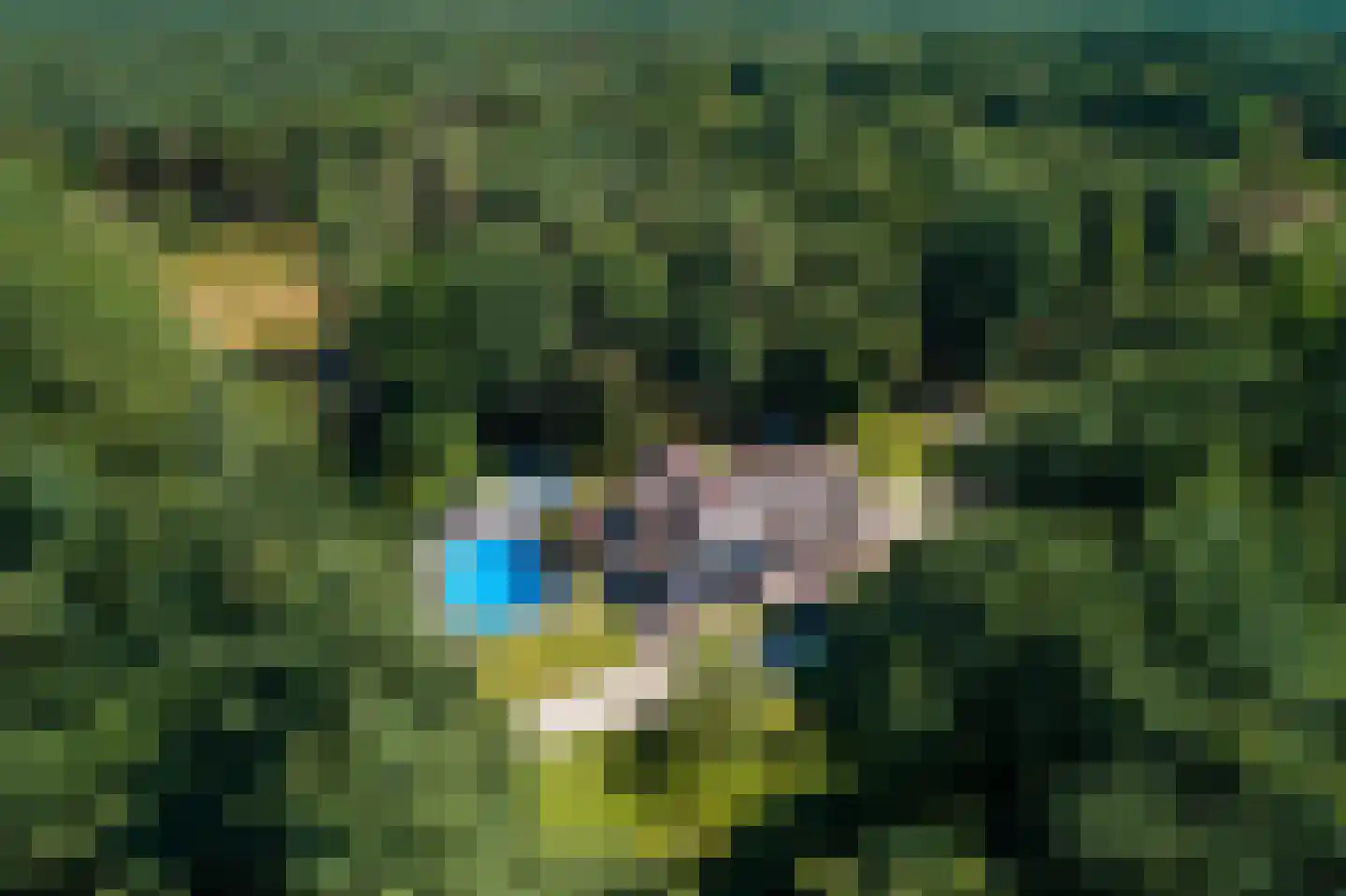 Lichttorenweg 12 Epe thumbnail 54
