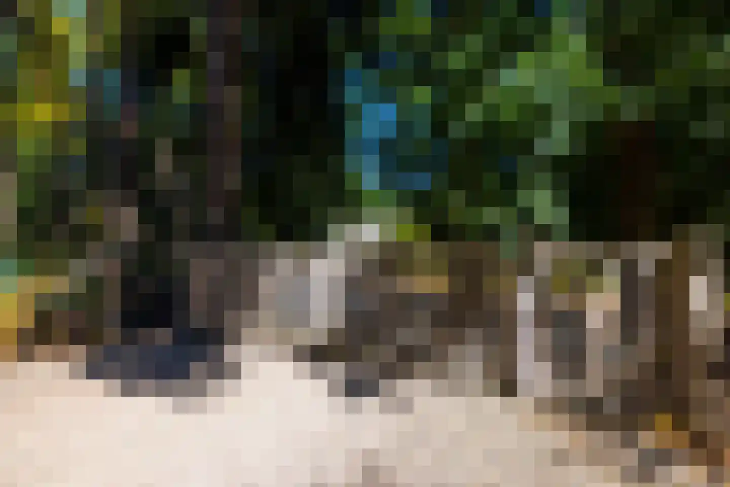 Lichttorenweg 12 Epe thumbnail 6