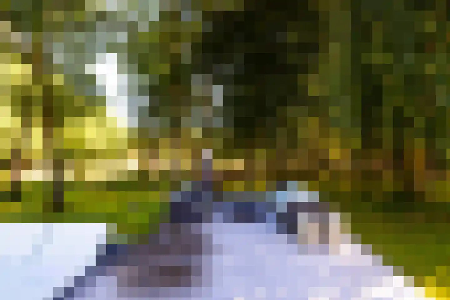 Lichttorenweg 12 Epe thumbnail 61