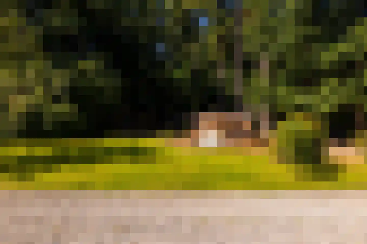 Lichttorenweg 12 Epe thumbnail 62