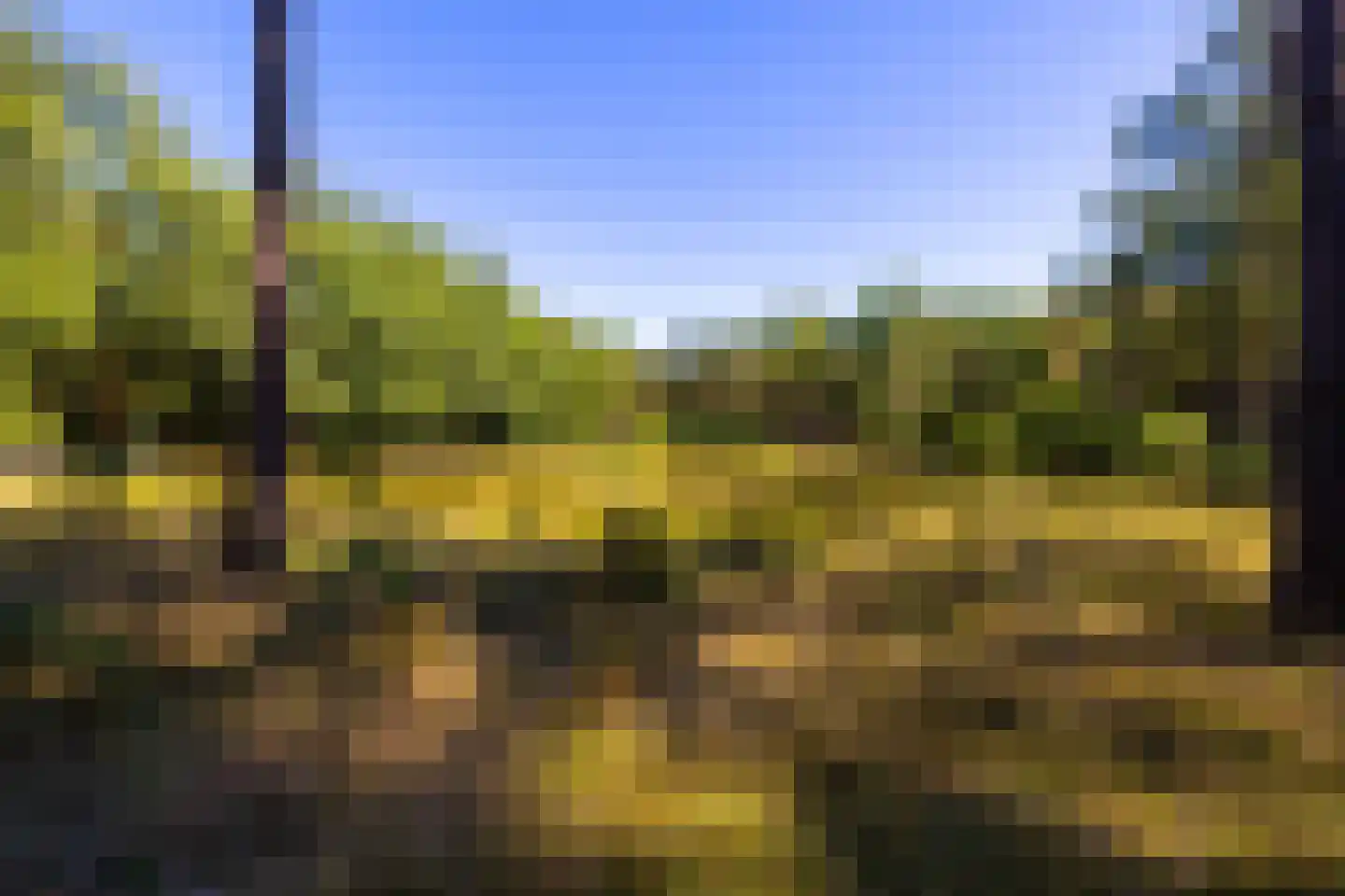 Lichttorenweg 12 Epe thumbnail 65