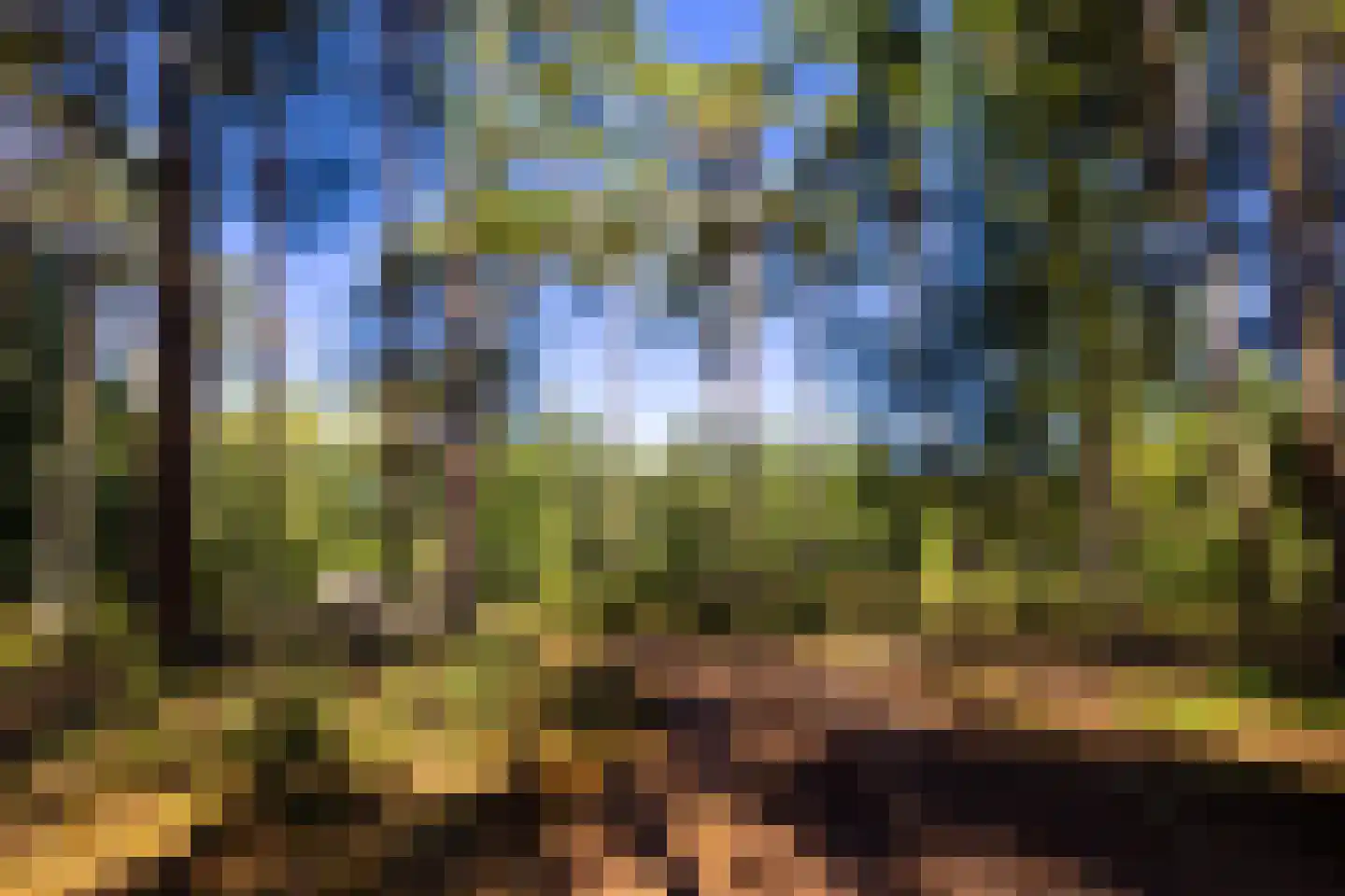 Lichttorenweg 12 Epe thumbnail 66