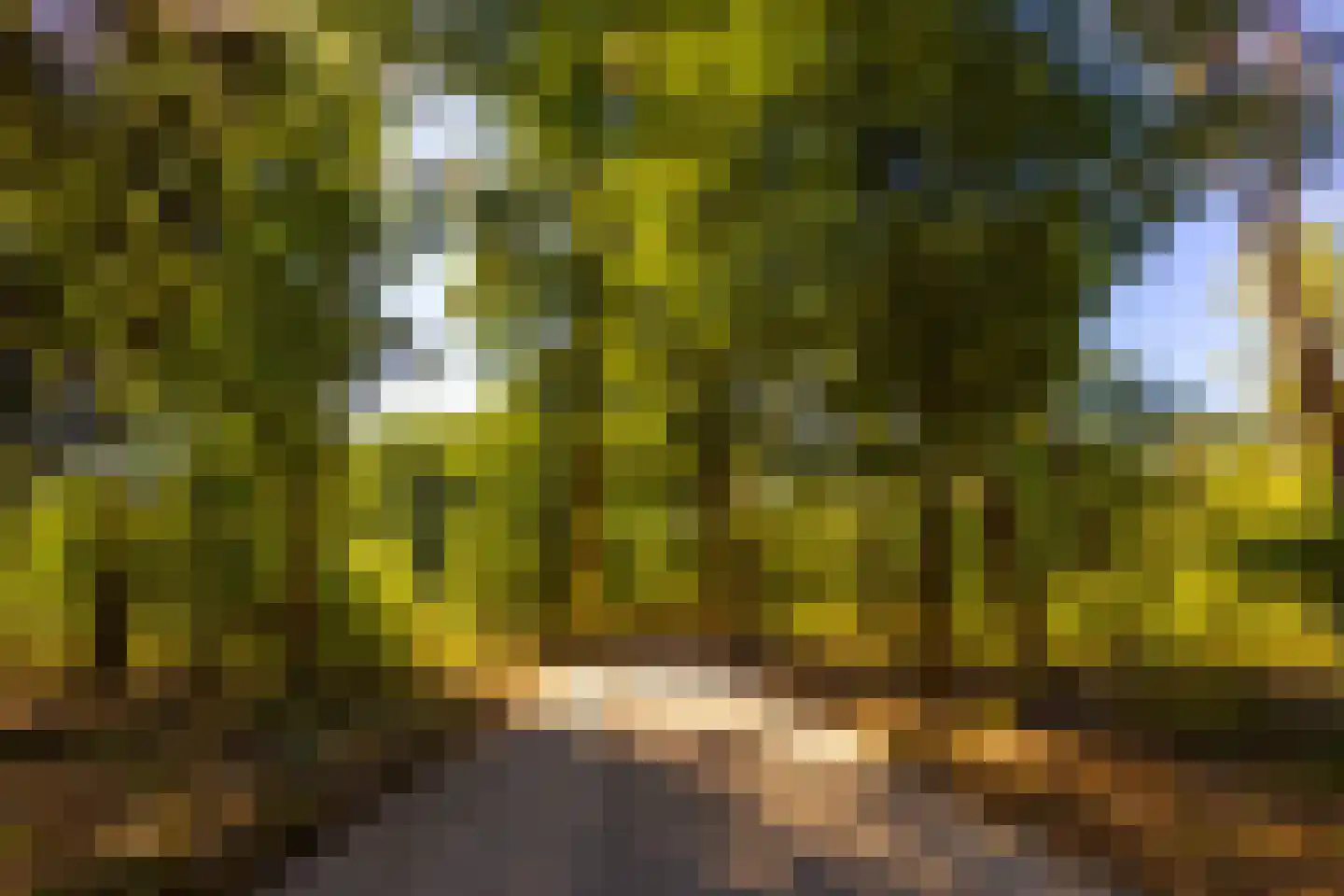 Lichttorenweg 12 Epe thumbnail 67