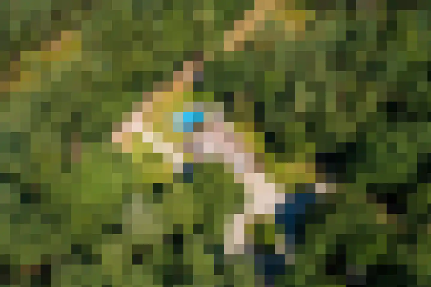Lichttorenweg 12 Epe thumbnail 69