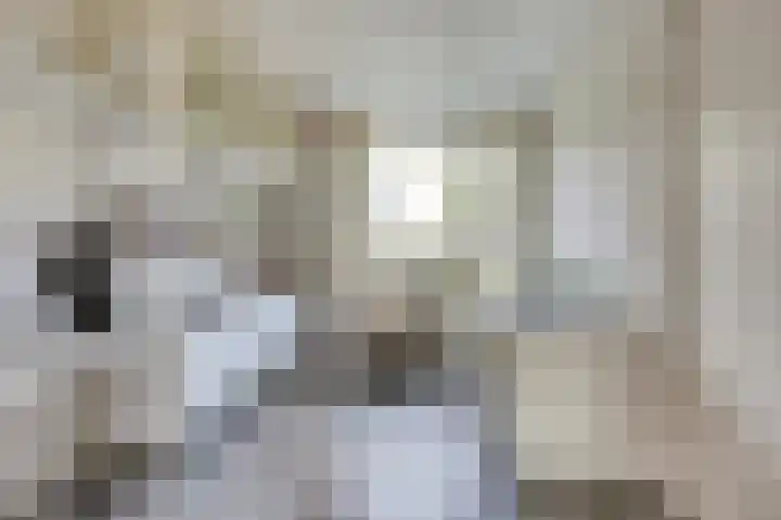 Lichtwachter 12 Ens thumbnail 14