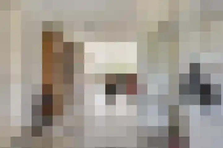 Lichtwachter 12 Ens thumbnail 15