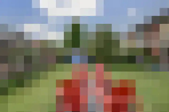 Lichtwachter 12 Ens thumbnail 27