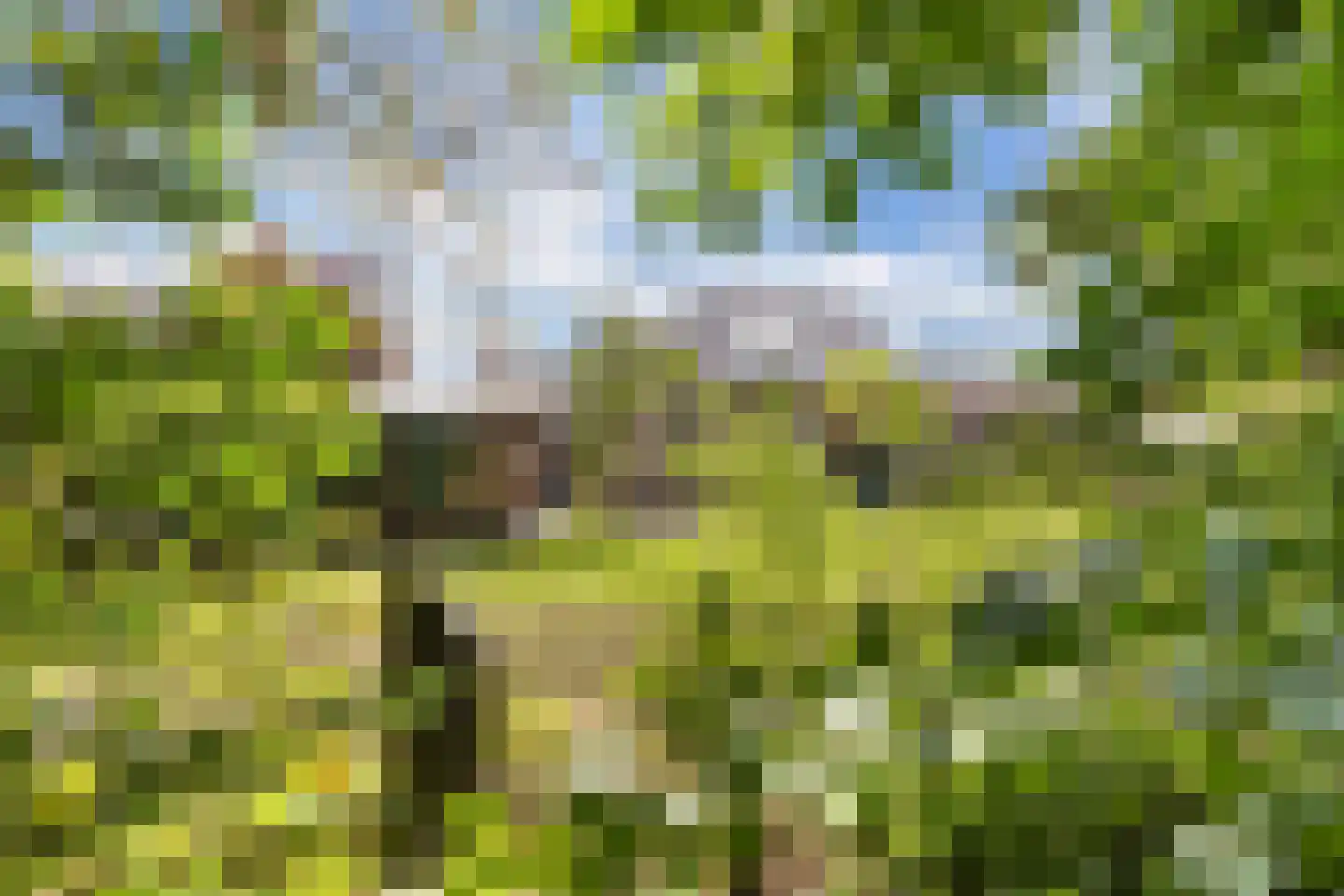 Lichtwachter 15 Ens thumbnail 51