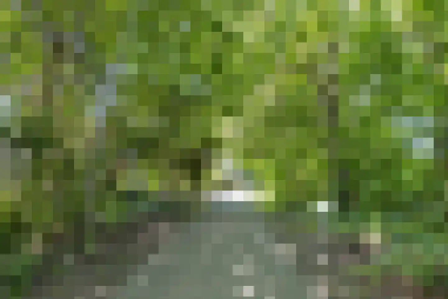 Lichtwachter 15 Ens thumbnail 53