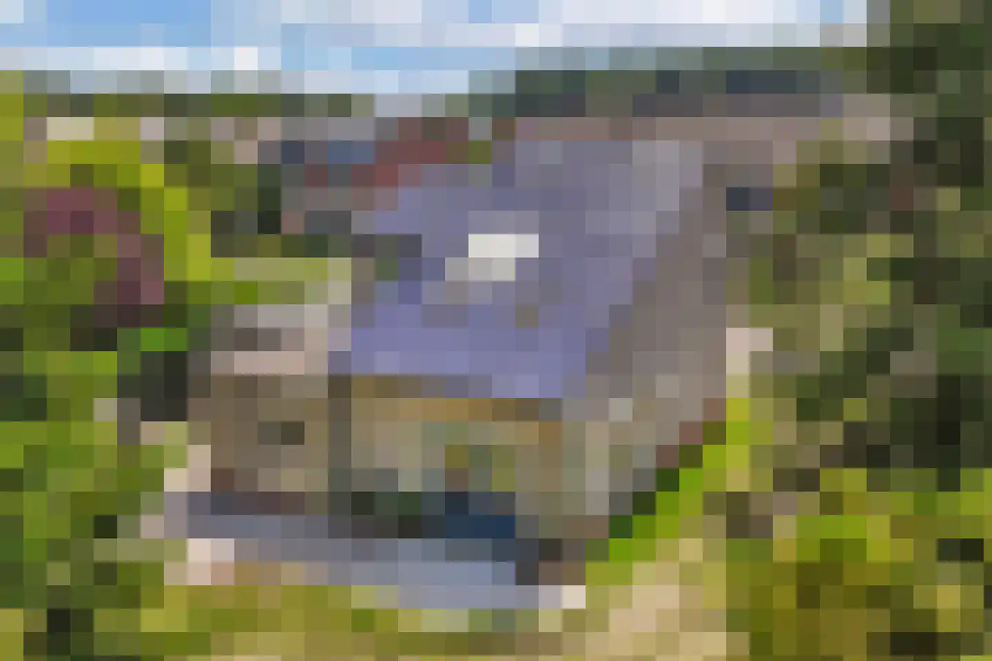 Lichtwachter 15 Ens thumbnail 55