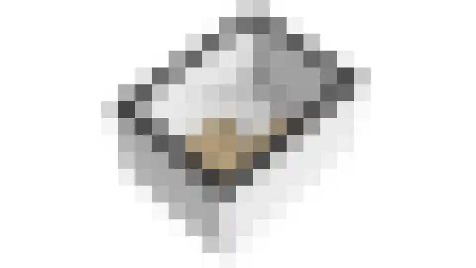 Lichtwachter 15 Ens thumbnail 63