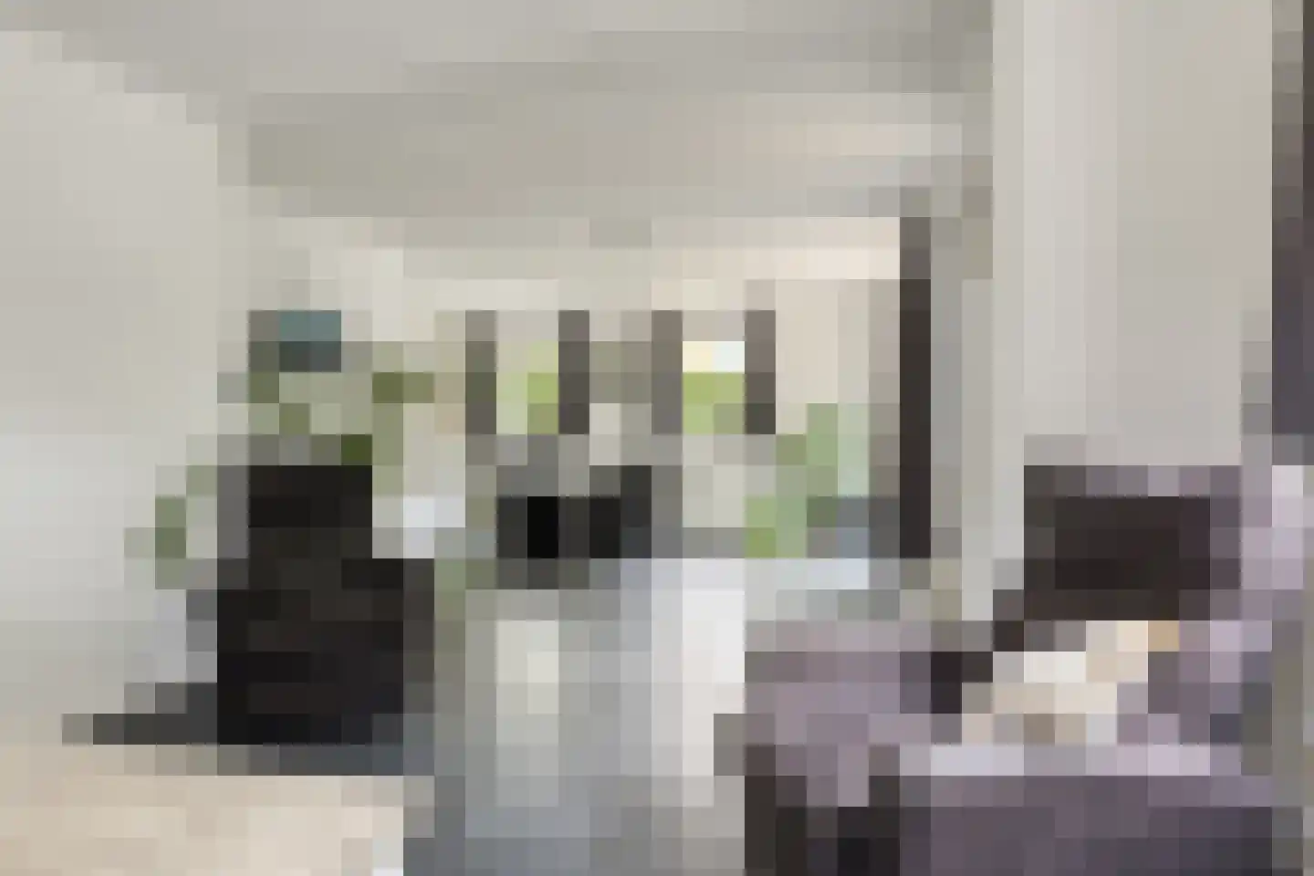 Lichtwachter 19 Ens thumbnail 12