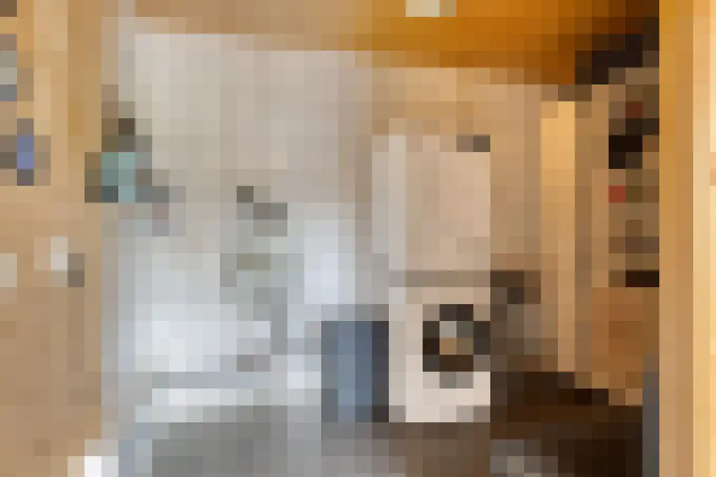 Lichtwachter 19 Ens thumbnail 19