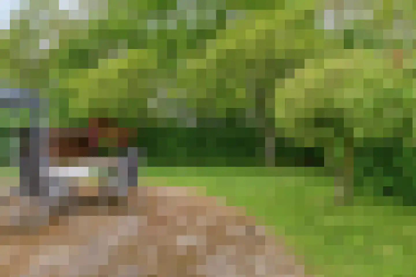 Lichtwachter 19 Ens thumbnail 31